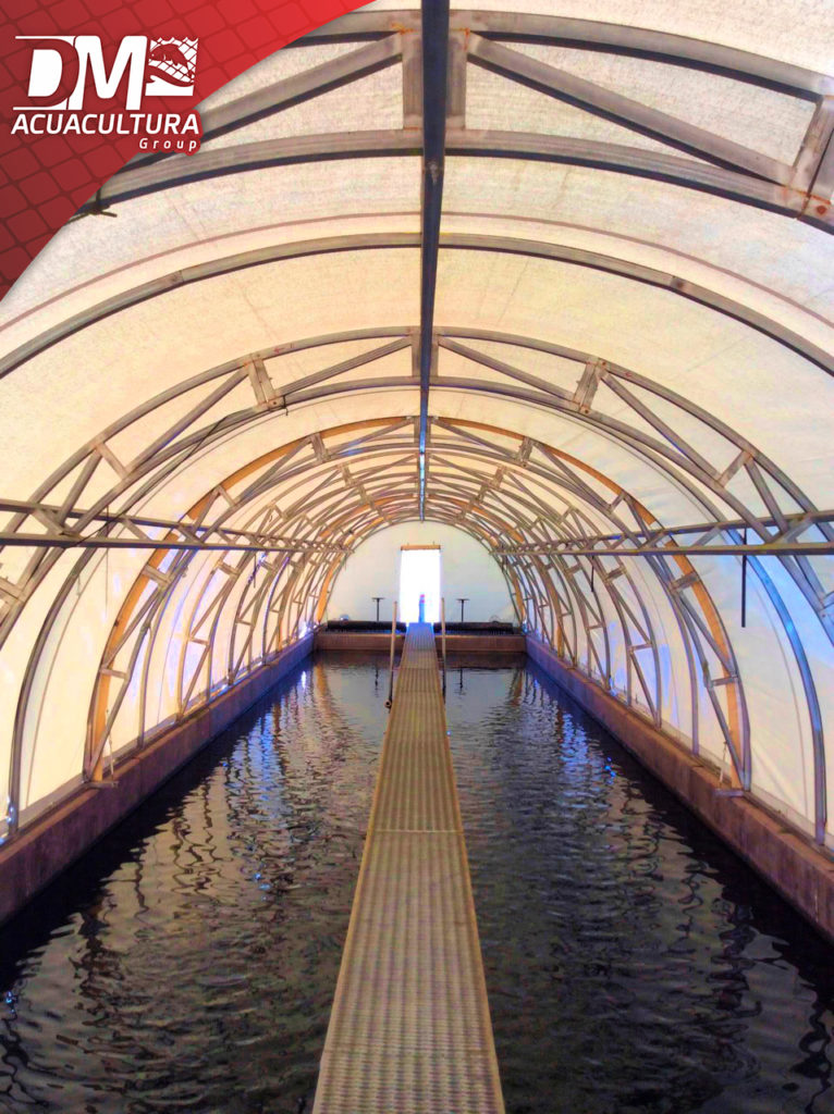 Naves acuícolas la nueva forma de cultivo - DM Acuacultura