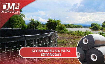 Geomembrana para construcción de Estanques