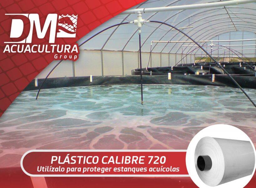 Ventajas de utilizar plástico para invernadero Cal. 720 - DM Tecnologías