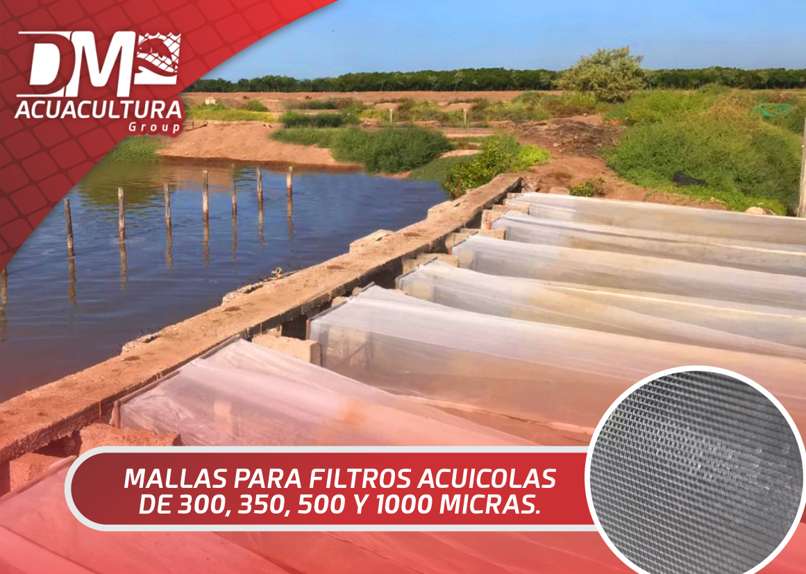 Bacterias Filtros Estanque Envii - Trata 20.000 Litros Mejora Agua